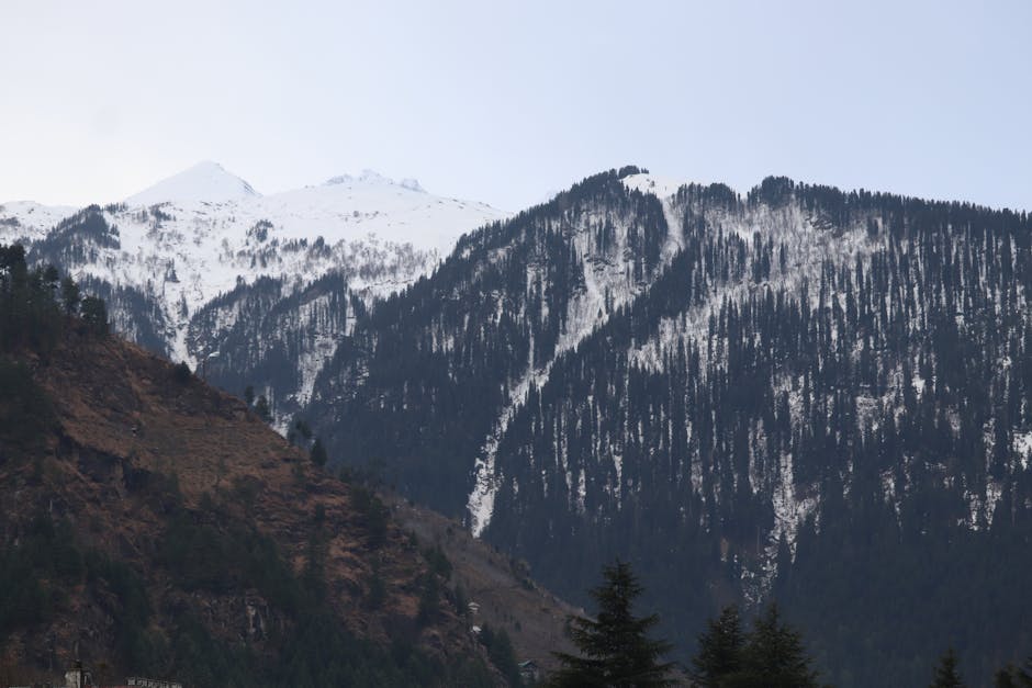 Mountain Edge Manali photo 2